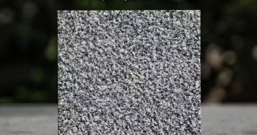 云南 芝麻黑荔枝面